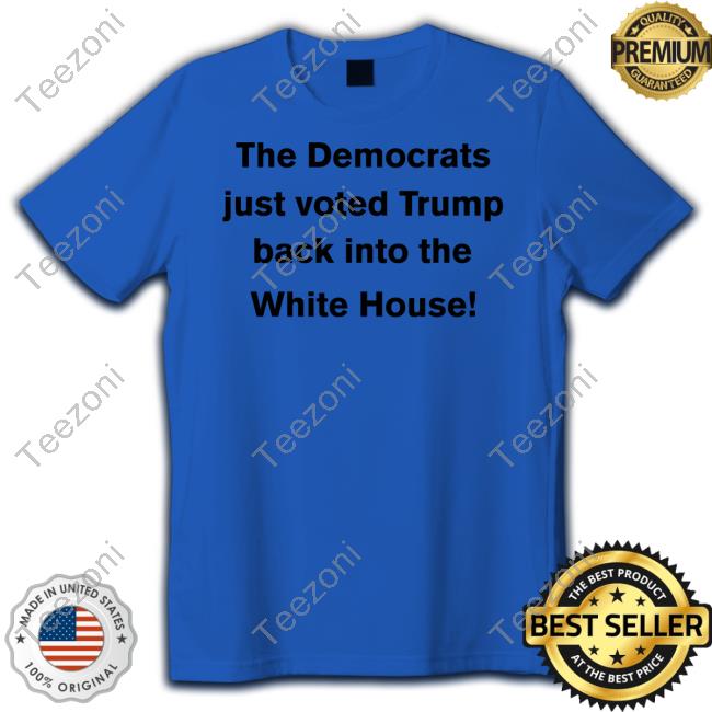 DavidKotiw The Democrats Just Voted Trump Back Into The White House Hoodied Sweatshirt